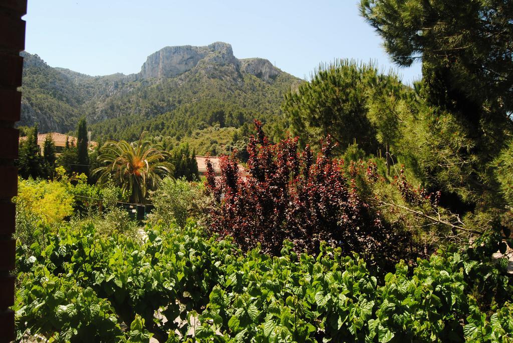 Hostal Braseria Tivissa ภายนอก รูปภาพ